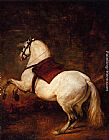 White Canvas Paintings - The White Horse